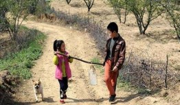 李各庄拆迁爆料视频大全,揭秘拆迁背后的真相与争议